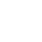 government government