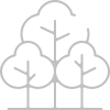trees
